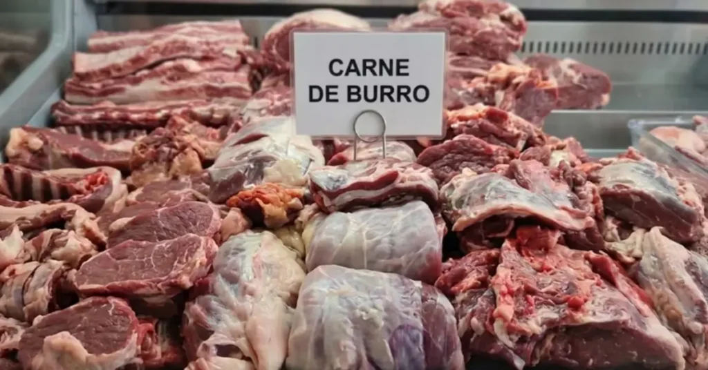 carne de burro