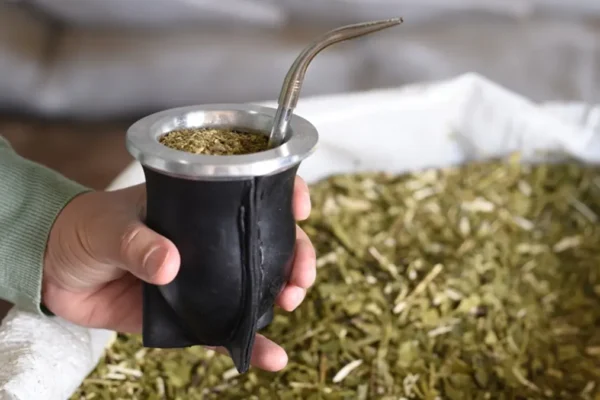 yerba