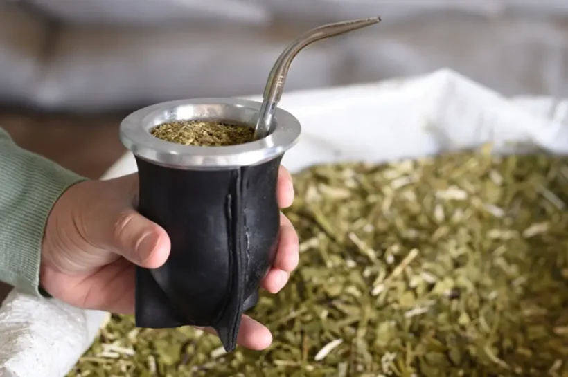 yerba