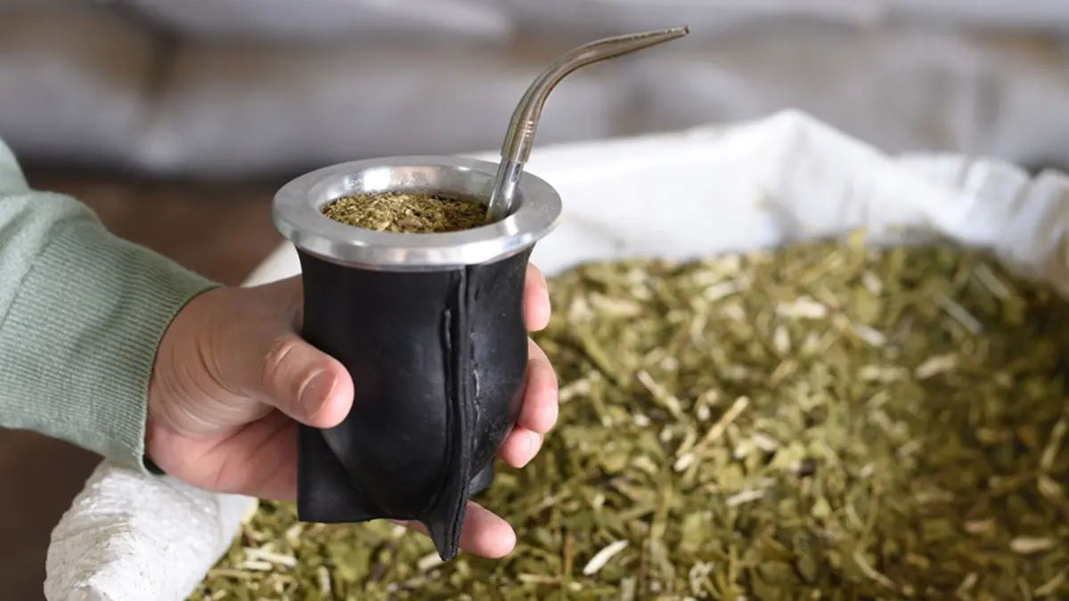 yerba